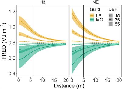 Overstory Longleaf Pines and Hardwoods Create Diverse Patterns of Energy Release and Fire Effects During Prescribed Fire